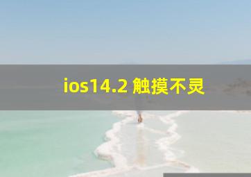 ios14.2 触摸不灵